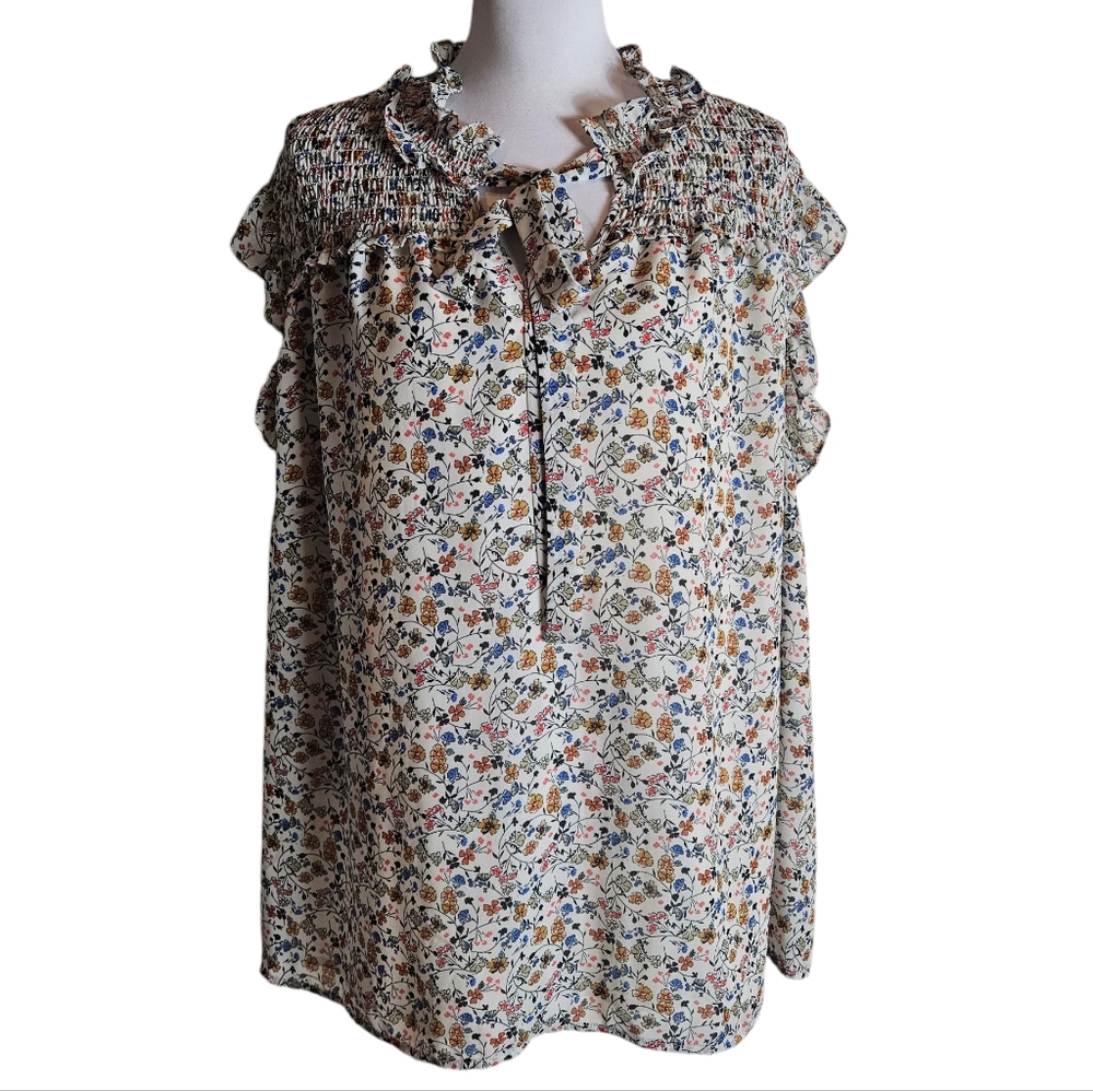 Pleione Floral Print Blouse Size 3X Ruffle Collar Smocked Keyhole Cottage Praire